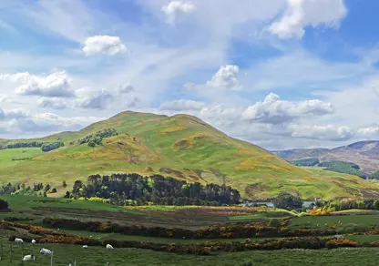 Cultivating Connections From Young Farmers