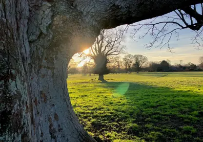 Natural Capital Update | Funding