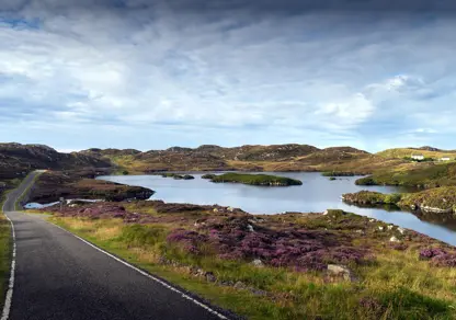 Natural Capital | Natural Environment Bill