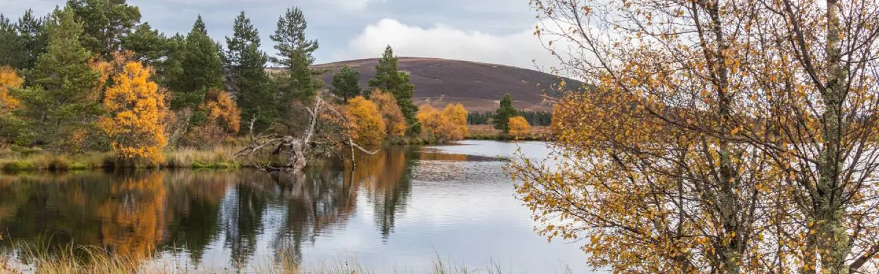 Understanding Natural Capital: UK's emerging new frontier : Moray Forest Grazing Black Loch 1