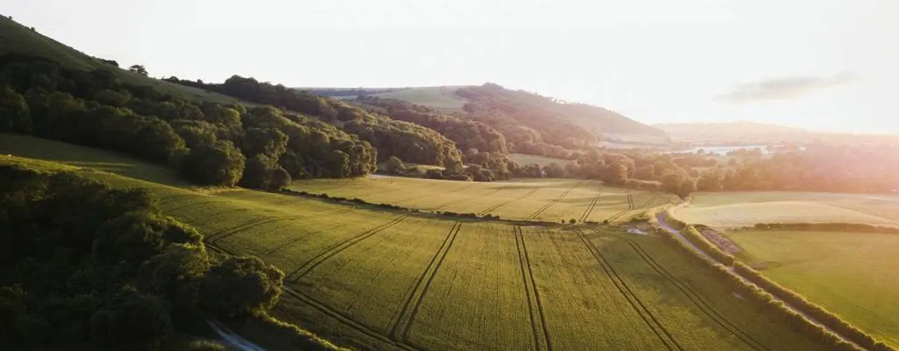 Sam Knight Jhpl88kp7y8 Sunspla1sh Copy 2