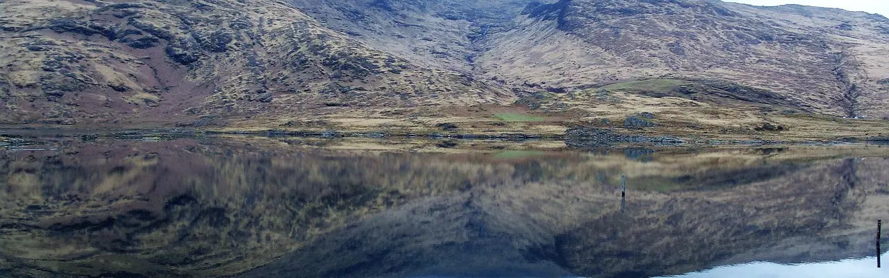 Natural capital update: Is Wildlife Estates Scotland accreditation worth it? Here's what we’ve learned: Wildlife estates