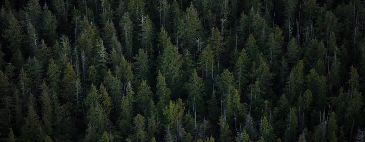 Valuation, Sales and Purpose